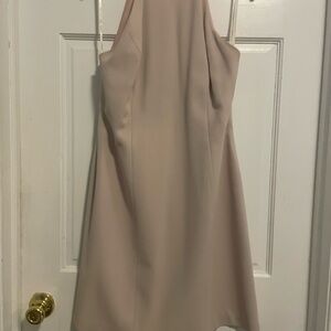 Laundry By Shelli Segal Strapless Light Pink Backless Dress